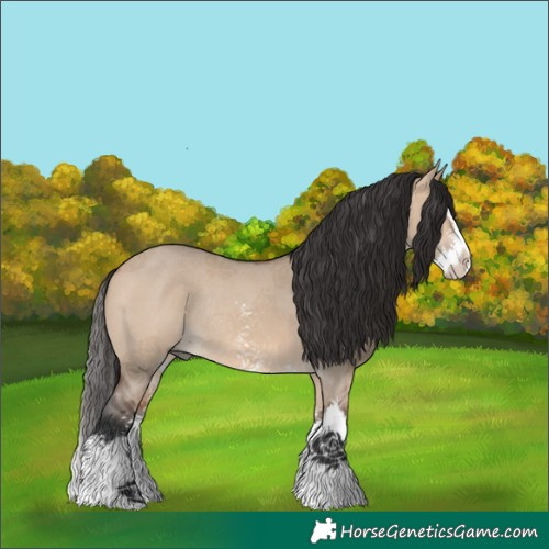 Horse Color:Bay Dun Sabino Splash Rabicano 