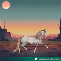 Horse Color:Liver Red Roan Splash 