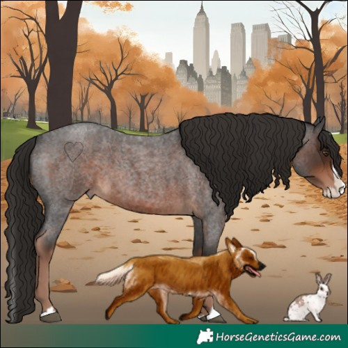 Horse Color:Liver Red Roan Splash