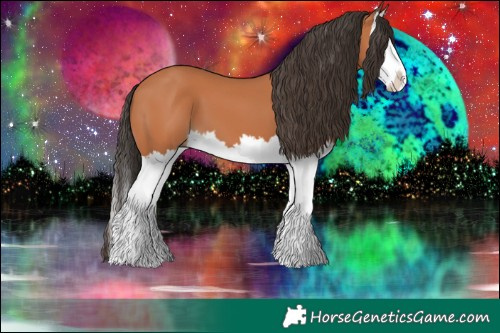 Horse Color:Bay Splash