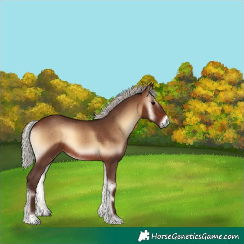 Horse Color:Silver Brown Onyx 