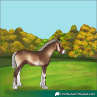 Horse Color:Silver Brown Onyx