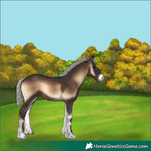Horse Color:Silver Brown Onyx 