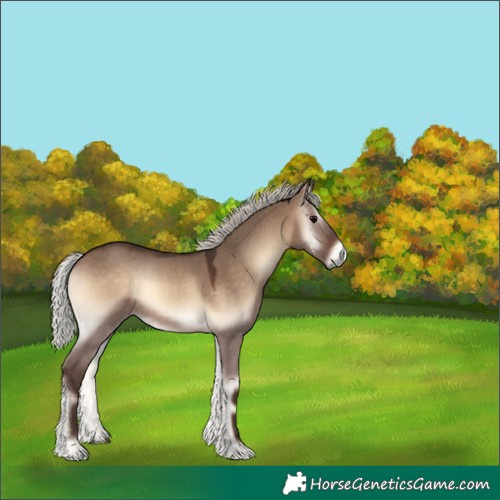 Horse Color:Silver Brown Onyx 