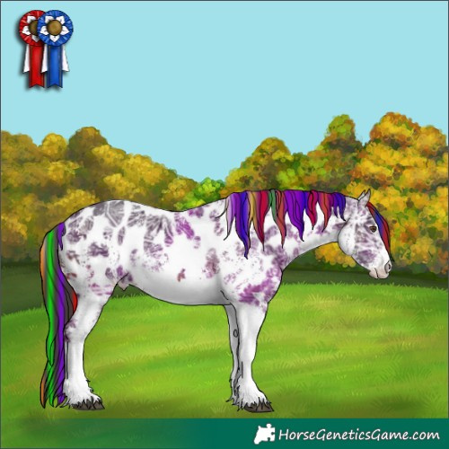 Horse Color:Painted White Spotted Brown Ice Near Leopard Rabicano 