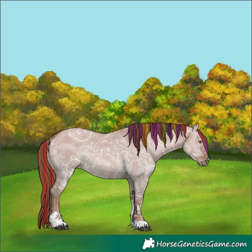 Horse Color:Painted White Spotted Red Dun Ice Rabicano 
