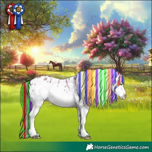 Horse Color:Painted White Spotted Liver Red Dun Ice Frame Appaloosa Rabicano 