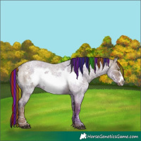 Horse Color:Painted Liver Red Dun Ice Roan Frame Rabicano 