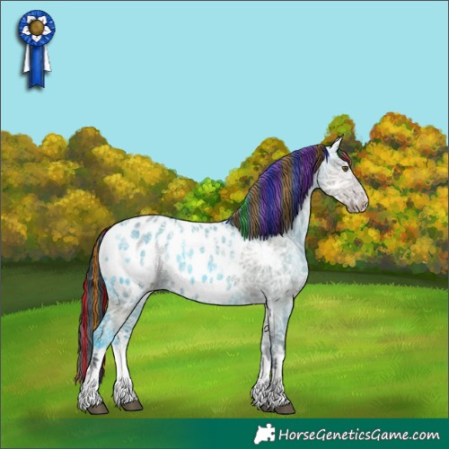 Horse Color:Painted White Spotted Liver Red Dun Ice Appaloosa Rabicano 