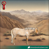 Horse Color:White Spotted Silver Sable Cream Champagne Roan 