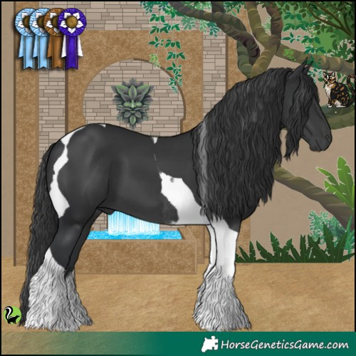 Horse Color:Black Tobiano 