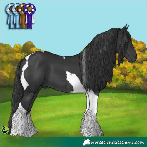 Horse Color:Black Tobiano 