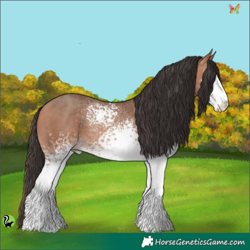 Horse Color:White Spotted Sable Champagne 