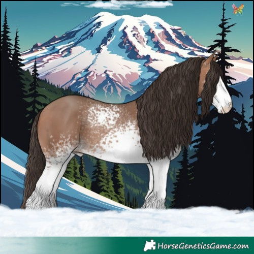 Horse Color:White Spotted Sable Champagne 