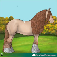 Horse Color:Gold Champagne Dun Tobiano 