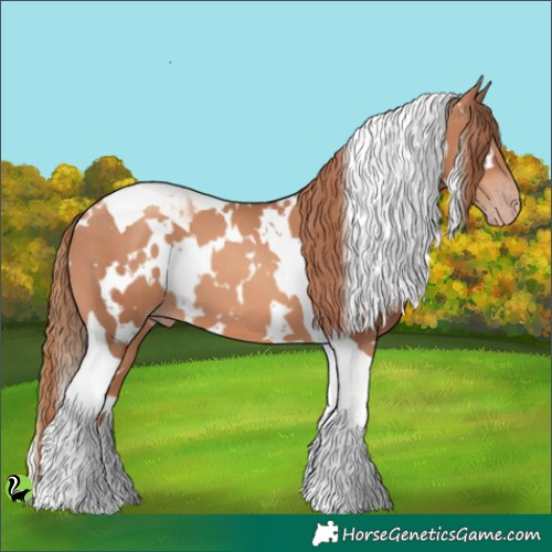Horse Color:White Spotted Gold Champagne Tobiano 
