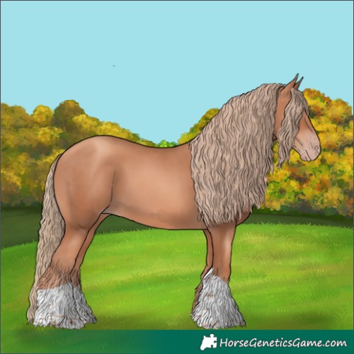 Horse Color:Gold Champagne Tobiano 