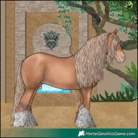 Horse Color:Gold Champagne Tobiano
