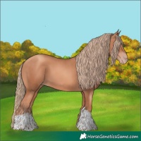 Horse Color:Gold Champagne Tobiano 