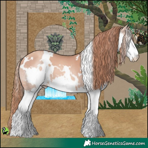 Horse Color:White Spotted Gold Champagne Splash 