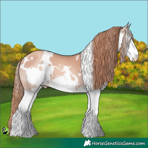 Horse Color:White Spotted Gold Champagne Splash 