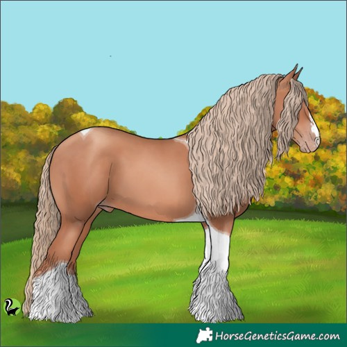 Horse Color:Gold Champagne Tobiano 