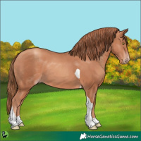 Horse Color:Gold Champagne Tobiano Rabicano 