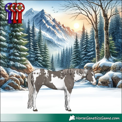 Horse Color:White Spotted Silver Black Splash Tobiano 