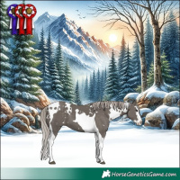 Horse Color:White Spotted Silver Black Splash Tobiano 