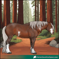 Horse Color:Silver Brown Sabino Tobiano Rabicano 