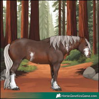 Horse Color:Silver Brown Sabino Tobiano Rabicano 
