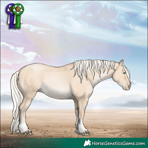 Horse Color:Silver Buckskin Pearl Dun Tobiano 