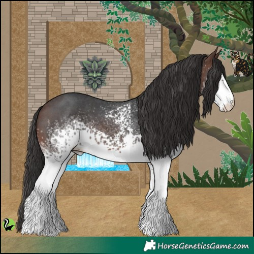 Horse Color:White Spotted Brown Sabino 