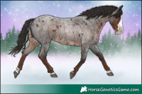 Horse Color:Liver Red Roan Splash 