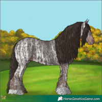 Horse Color:Liver Chestnut Ice 