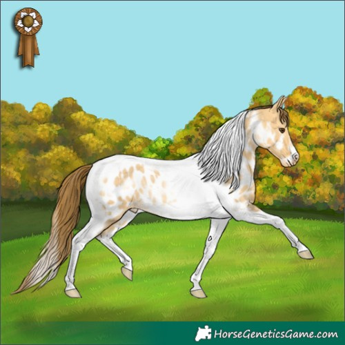 Horse Color:Buckskin Dun Tobiano Frame Appaloosa Rabicano 