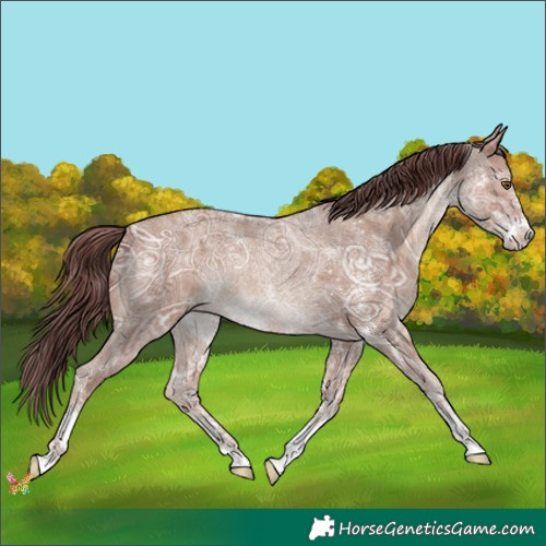 Horse Color:Chocolate Classic Champagne Ice Sabino 