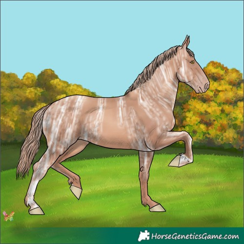 Horse Color:Gold Champagne Ice 