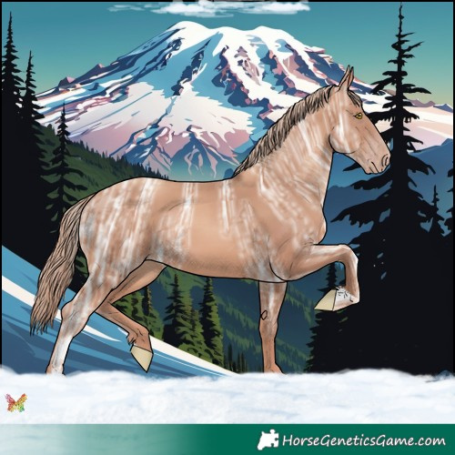Horse Color:Gold Champagne Ice 