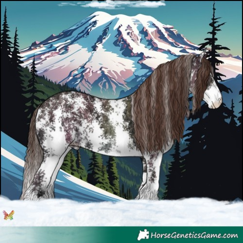 Horse Color:Classic Champagne Ice Sabino 