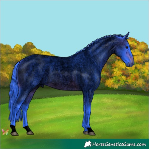 Horse Color:Void Watercolor Brown Roan 