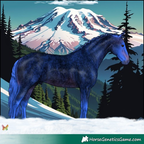 Horse Color:Void Watercolor Brown Roan 