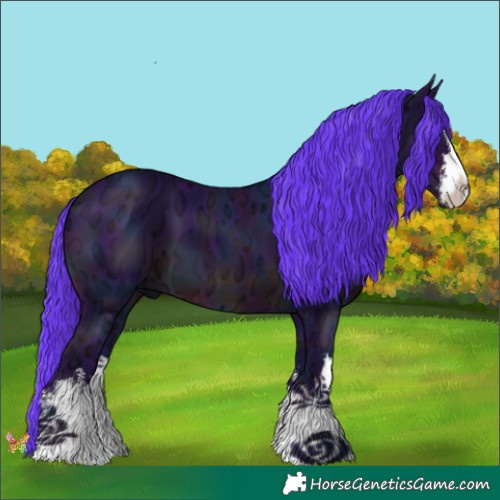 Horse Color:Watercolor White Spotted Midnight Smoky Black Ice 