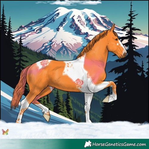 Horse Color:Watercolor Liver Chestnut Tobiano 