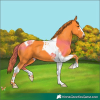 Horse Color:Watercolor Liver Chestnut Tobiano 