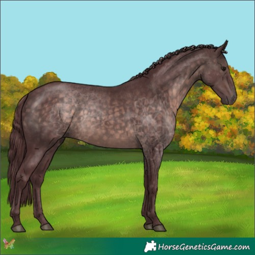 Horse Color:Platinum Chocolate Brown