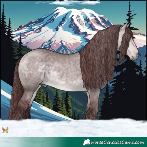 Horse Color:Platinum Chocolate Buckskin Dun 