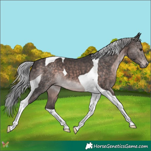 Horse Color:Platinum Silver Brown Tobiano