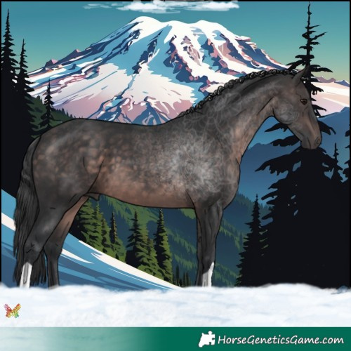Horse Color:Platinum Brown 
