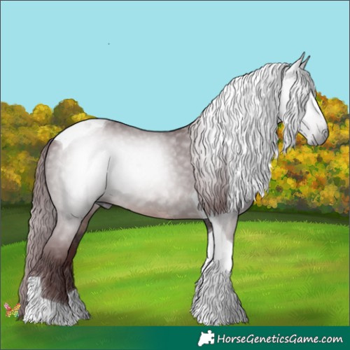 Horse Color:Gray Platinum Chocolate Brown Tobiano 
